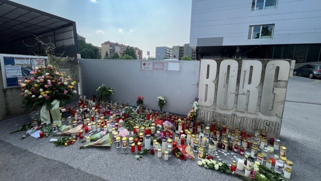 Nach dem Attentat auf ein Grazer Gymnasium mit zehn Todesopfern muss die Polit-Spitze rasch ...