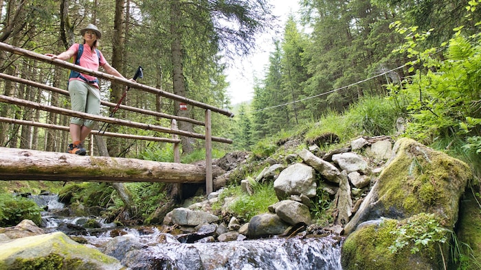 Ein malerischer Rastplatz, um die Kühle des Wassers und die Ruhe zu genießen.