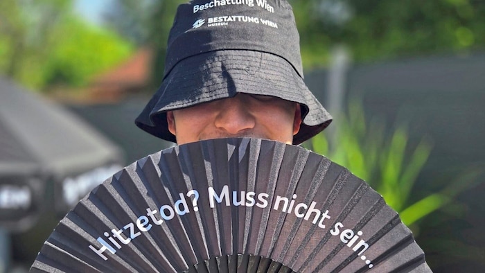Ob Fächer, Schwimmreifen oder Badetuch, die Kollektion ist vielseitig.