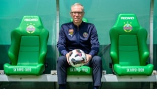 Stöger nimmt auf Rapids Trainerstuhl Platz. 