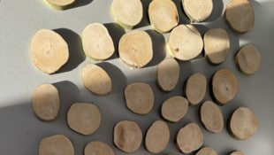 Holztafeln mit Namen der Opfer können bei der Ausstellung aufgedeckt werden.