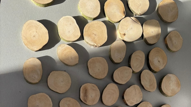 Holztafeln mit Namen der Opfer können bei der Ausstellung aufgedeckt werden.