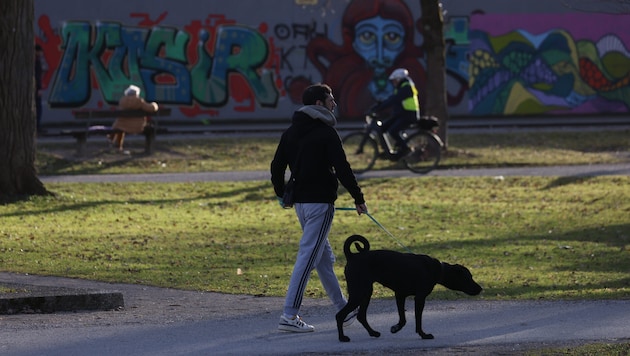 Auch neue Bäume sollen im Park gepflanzt werden