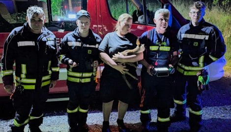 Feuerwehr Pinkafeld und Jägerin gemeinsam im Einsatz