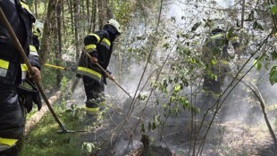 Die Feuerwehren bekämpften gut eine Stunde das Feuer. 