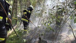 Erst kürzlich rückte die Feuerwehr Ferlach zu einem Waldbrand aus.