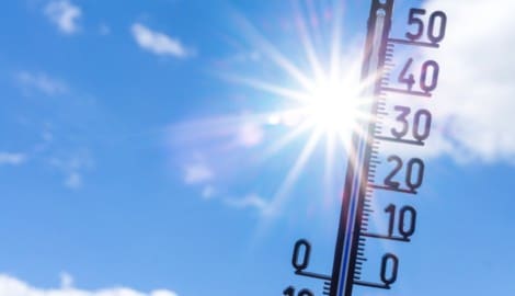 Heißes Wetter beeinflusst Angebot und Nachfrage