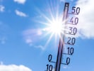 Heißes Wetter beeinflusst Angebot und Nachfrage