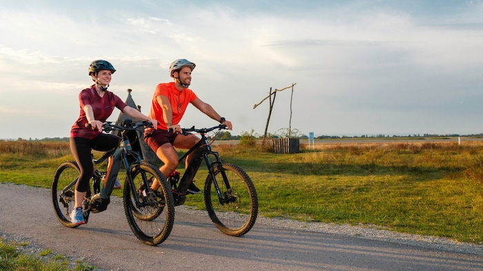 Die seichten salzhaltigen Gewässer findet man entlang des 52 Kilometer langen Lackenradweges.