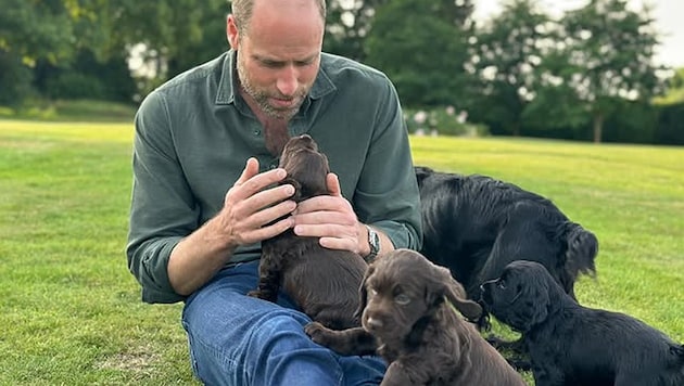 Was für eine zuckersüße Überraschung zum 43. Geburtstag von Prinz William! Auf dem Foto, das auf ...