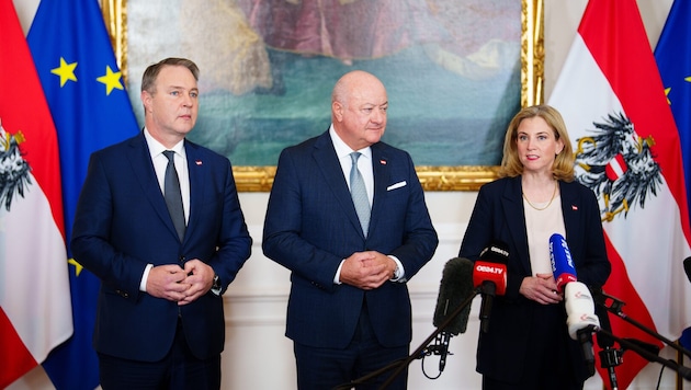 Mit einer Regierung aus ÖVP, SPÖ und NEOS mit Stocker an der Spitze hatte man Anfang des Jahres ...