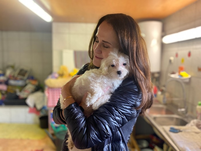 Die Tierecke kümmert sich um Hunde wie diesen, der das Opfer skrupelloser Welpenhändler wurde.