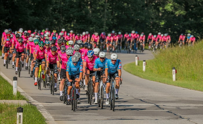 Das pinke Band zieht sich durchs Möll- und Drautal. 