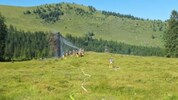 Dritter Einsatz in einer Woche: Ein Baum brannte.