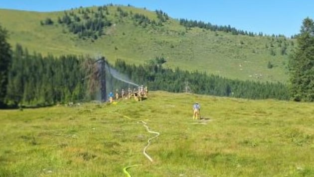 Dritter Einsatz in einer Woche: Ein Baum brannte.