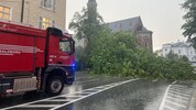 In der Schwarzstraße fiel ein Baum über die gesamte Straße...