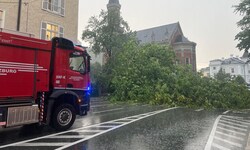 In der Schwarzstraße fiel ein Baum über die gesamte Straße...