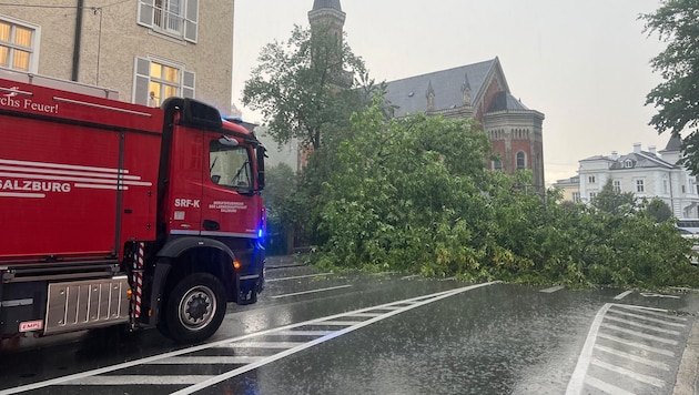 In der Schwarzstraße fiel ein Baum über die gesamte Straße...