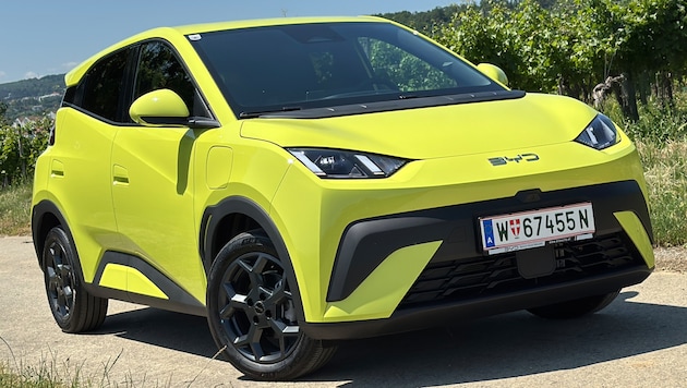 Ein „BYD Dolphin Surf“ – der „Krone“-Test im Juni fiel positiv aus.
