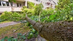 Der Deutsche Wetterdienst erklärte, die höchste Windgeschwindigkeit sei heute an der Freien ...