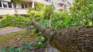 Der Deutsche Wetterdienst erklärte, die höchste Windgeschwindigkeit sei heute an der Freien ...