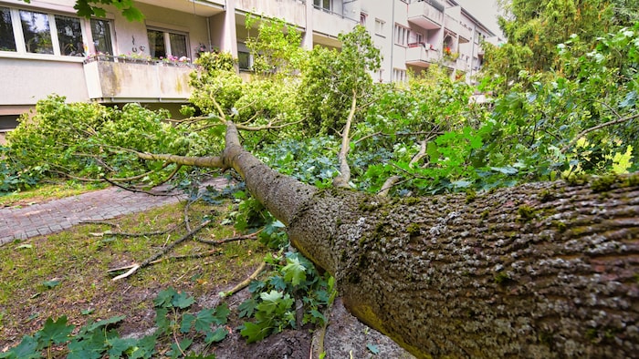 Der Deutsche Wetterdienst erklärte, die höchste Windgeschwindigkeit sei heute an der Freien ...
