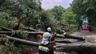 Die Feuerwehr musste sich unter anderem den Weg zum Unfallort in der Steiermark freischneiden.