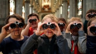 Auf Spurensuche im Linzer Mariendom