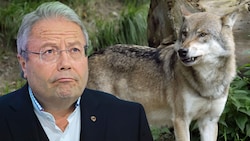 Franz Hörl geriet wegen Wolf-Aussagen ins Visier von Tierschützern.