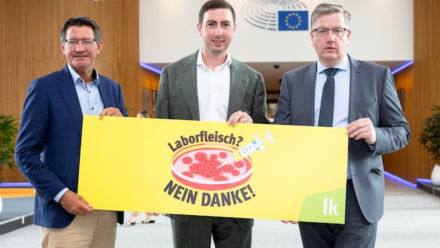 Siegfried Huber, Alexander Bernhuber und Andreas Steinegger