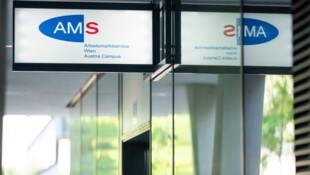 Ukrainer sollen in Österreich ab November nur noch in den Genuss von Sozialhilfen kommen, wenn ...