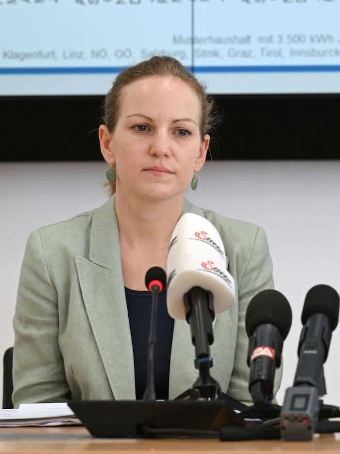 BWB-Generaldirektorin Natalie Harsdorf und E-Control-Vorstand Wolfgang Urbantschitsch ...