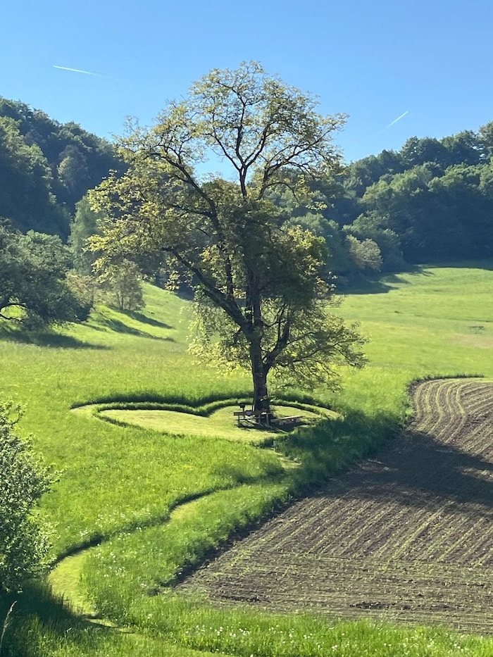 Der Herzerlbaum in voller Pracht.