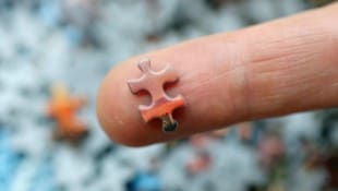 Wer findet am schnellsten die passenden Puzzlestücke? 
