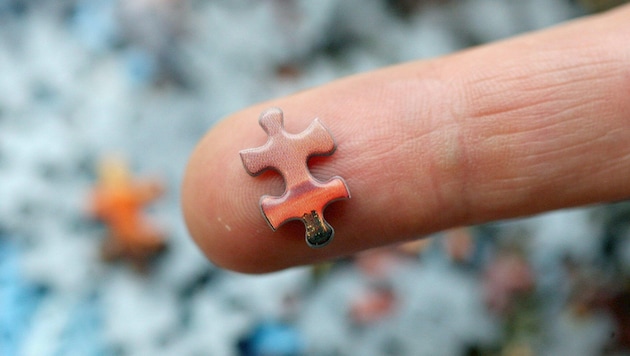 Wer findet am schnellsten die passenden Puzzlestücke? 