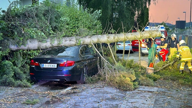 Ein BMW am Makartkai wurde von einem umstürzenden Baum getroffen.