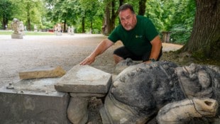 Stadtgärtner Peter Ebner beim Opfer-Zwerg