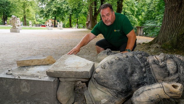 Stadtgärtner Peter Ebner beim Opfer-Zwerg