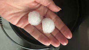 Hagelkörner von bis zu vier Zentimetern Durchmesser beschädigten neben Pflanzen auch ...