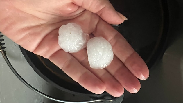 Hagelkörner von bis zu vier Zentimetern Durchmesser beschädigten neben Pflanzen auch ...