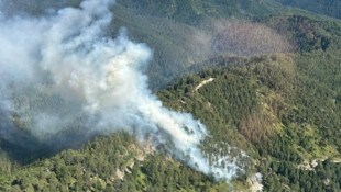 Der Waldbrand in Gutenstein tobt. 