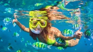 Die Kärntner freuen sich schon auf den Sommerurlaub – und buchen fleißig.