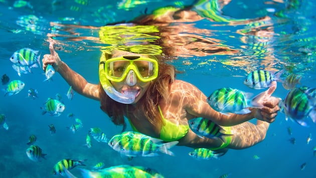 Die Kärntner freuen sich schon auf den Sommerurlaub – und buchen fleißig.