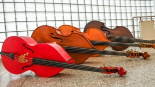 „Der Kontrabass“ vom kleinsten bis zum größten Exemplar.