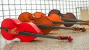 „Der Kontrabass“ vom kleinsten bis zum größten Exemplar.