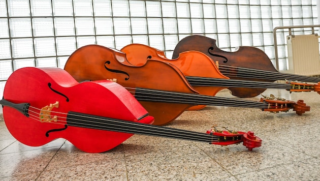 „Der Kontrabass“ vom kleinsten bis zum größten Exemplar.