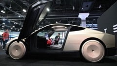 Der US-Elektroautobauer Tesla musste am EU-Automarkt in den letzten Monaten Federn lassen.