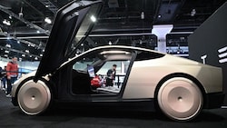 Der US-Elektroautobauer Tesla musste am EU-Automarkt in den letzten Monaten Federn lassen.