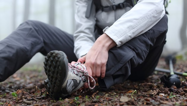 Die Zahl der tödlichen Alpinunfälle – besonders beim Wandern – ist 2024 um 16 Prozent gestiegen. ...