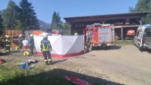 Der schwerverletzte Lkw-Fahrer musste mit dem Hubschrauber ins Krankenhaus gebracht werden.